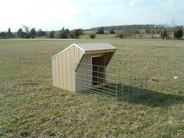 Bottle Calf Sheds