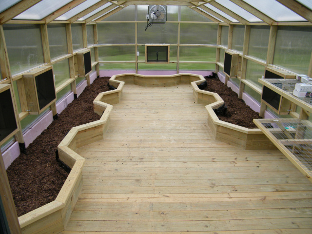 Inside view of a custom 12x24 with raised beds