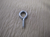 Eye Bolt 1/2" x 6"