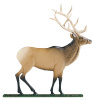 30" Painted Elk Weathervane